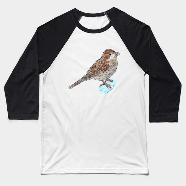 House Sparrow Baseball T-Shirt by bangart